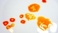 orange red yellow oil with air bubbles at the white background Royalty Free Stock Photo