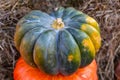 Orange ribbed pumpkin and green vegetable stands on a background of hay closeup