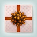 Orange ribbon bow. EPS 10 Royalty Free Stock Photo