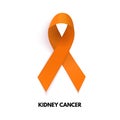 Orange Ribbon. Kidney cancer sign. Vector Illustration Royalty Free Stock Photo