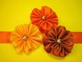 Orange ribbons Royalty Free Stock Photo