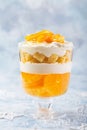 Orange rifle. Festive layered dessert in glass for Christmas din