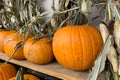 Pumpkins in a row on wooden shelf, fall display