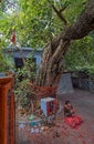 Orange-robed Sadhu Indian Monk Holy man inside Vintage Mataji