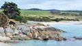 Orange Rocks of the Bay of Fires near a green field overlooking the shore Tasmania Australia