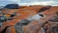 Orange Rocks of the Bay of Fires overlooking the shore Tasmania Australia Royalty Free Stock Photo