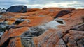 Orange Rocks of the Bay of Fires overlooking the shore Tasmania Australia