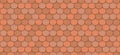 Orange roof tiles