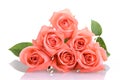 Orange rose flower bouquet on white background, beauty peach color tone Royalty Free Stock Photo