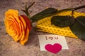 Orange rose, gift covered in hearted paper and note I love you Royalty Free Stock Photo