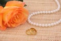 Orange Rose with Gold Wedding Rings and Pearls Royalty Free Stock Photo