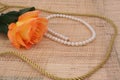 Orange Rose with Gold Wedding Rings and Pearls Royalty Free Stock Photo