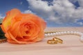 Orange Rose with Gold Wedding Rings and Pearls Royalty Free Stock Photo