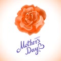 Orange rose. Happy Mothers Day Beautiful Blooming orange Rose Flowers. EPS 10 vector Royalty Free Stock Photo