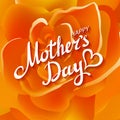 Orange rose. Happy Mothers Day Beautiful Blooming orange Rose Flowers. EPS 10 vector Royalty Free Stock Photo