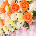 Orange rose and orchid Royalty Free Stock Photo