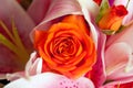 Orange Rose Pink Lily Flowers Royalty Free Stock Photo