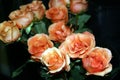 Orange roses