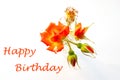 Orange roses in glass vase and Happy birthday text Royalty Free Stock Photo