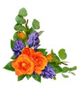 Orange roses and hyacinth flowers with eucalyptus leaves in a co Royalty Free Stock Photo