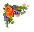 Orange roses and hyacinth flowers with eucalyptus leaves and paint blots in a corner floral arrangement