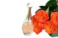 Orange roses with parfume