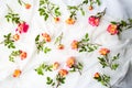 Orange roses on white fabric flatlay Royalty Free Stock Photo
