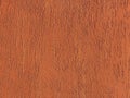 orange rough plaster wall background texture Royalty Free Stock Photo