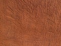 orange rough plaster wall background texture Royalty Free Stock Photo