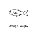 orange roughy icon. Element of marine life for mobile concept and web apps. Thin line orange roughy icon can be used for web and m