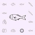 orange roughy icon. Fish icons universal set for web and mobile
