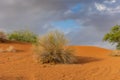 Orange Sand Dunes at sunset with stormy clouds and blue sky background Royalty Free Stock Photo