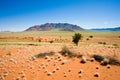 Beautiful vast landscape Namibia. Orange sand with dry clums of grass, blue sky, rocky mountains in back. Royalty Free Stock Photo