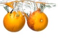 Orange sanguinello falling in water and splash on white background