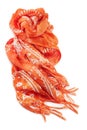 Orange scarf Royalty Free Stock Photo