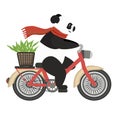 Orange-scarfed panda bear riding a red bicycle with a brown basket on the back, containing green leaves. Royalty Free Stock Photo