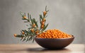 Orange sea buckthorn berries in the bowl with copy space for text. Royalty Free Stock Photo