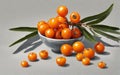 Orange sea buckthorn berries in the bowl with copy space for text Royalty Free Stock Photo