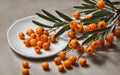 Orange sea buckthorn berries branch with copy space for text. Royalty Free Stock Photo