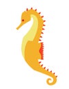 Orange seahorse in flat style.