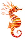 Orange seahorse Royalty Free Stock Photo