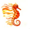 Orange seahorse