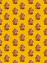 Orange seamless background fun cookie pattern