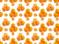 Orange seamless pattern, citrus isolated on white background .Whole ripe oranges and slices. A collection of fine Royalty Free Stock Photo