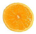 Orange Segment