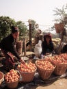 Orange sellers, Nepal Royalty Free Stock Photo