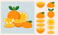 Fresh orange fruit set. Whole orange with leaves, oranges slices and cut orange fruit. Royalty Free Stock Photo
