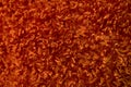 Orange shag carpet texture