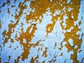 Orange sheetmetal with flaking white paint over it Royalty Free Stock Photo