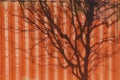 Orange Shipping Container with Tree Shadows Creating Abstract Patterns Royalty Free Stock Photo
